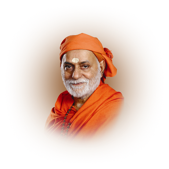 Swami Bhoomananda Tirtha